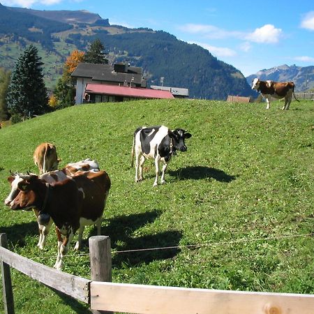 Hotel Alpenhof Grindelwald Exterior foto
