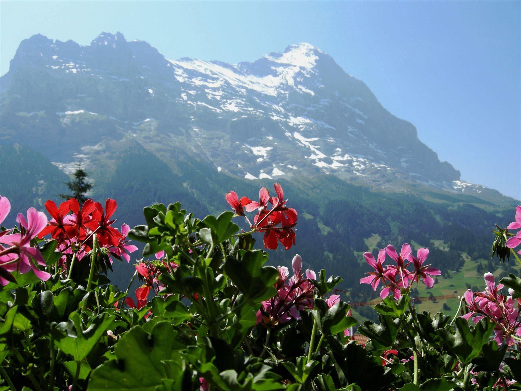Hotel Alpenhof Grindelwald Exterior foto